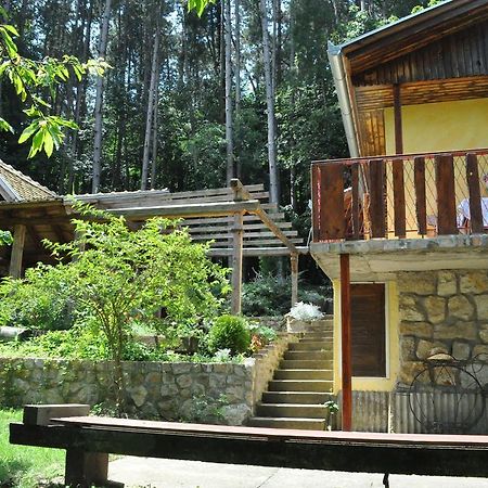 Apartments Borove Noci Vrdnik Εξωτερικό φωτογραφία