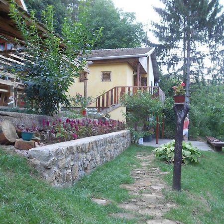 Apartments Borove Noci Vrdnik Εξωτερικό φωτογραφία
