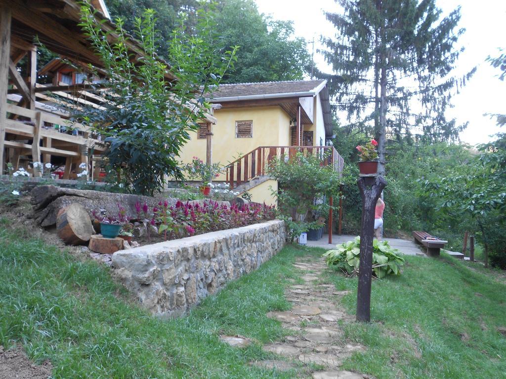 Apartments Borove Noci Vrdnik Εξωτερικό φωτογραφία
