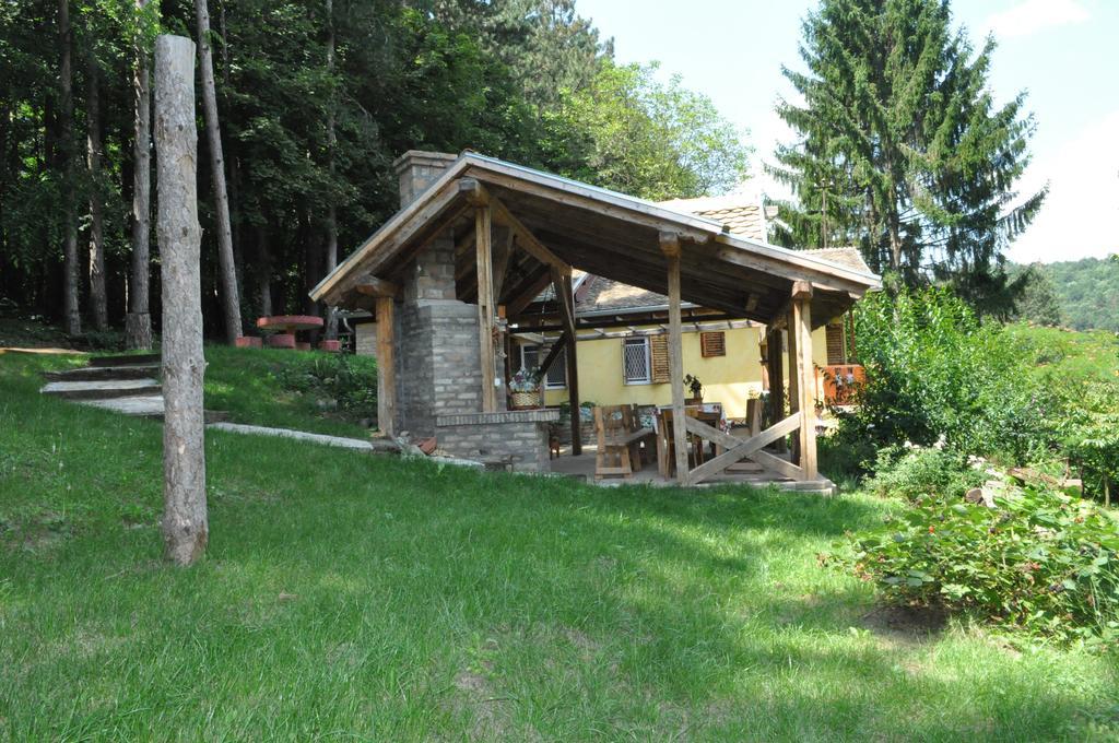Apartments Borove Noci Vrdnik Εξωτερικό φωτογραφία