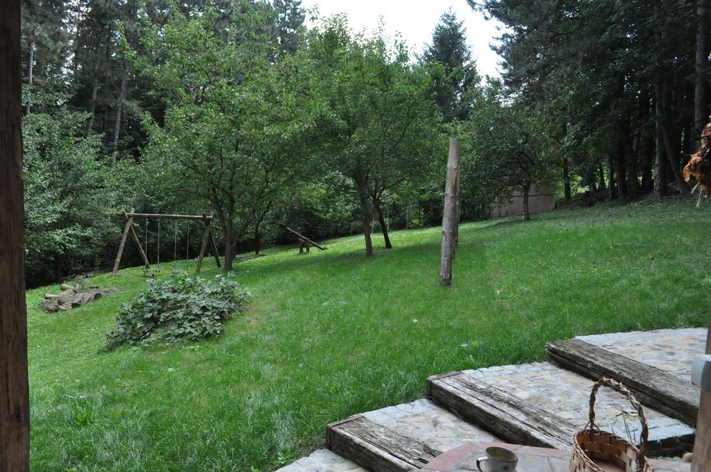 Apartments Borove Noci Vrdnik Εξωτερικό φωτογραφία