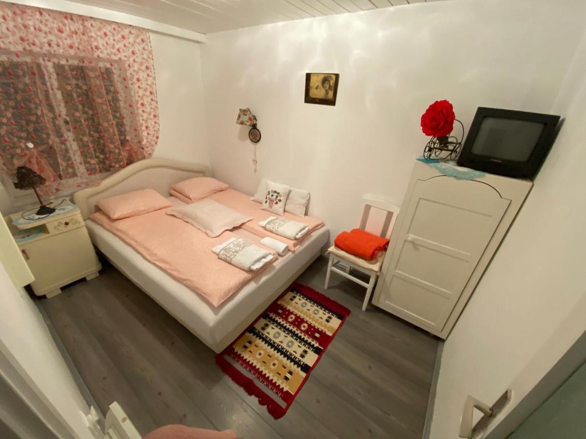 Apartments Borove Noci Vrdnik Εξωτερικό φωτογραφία